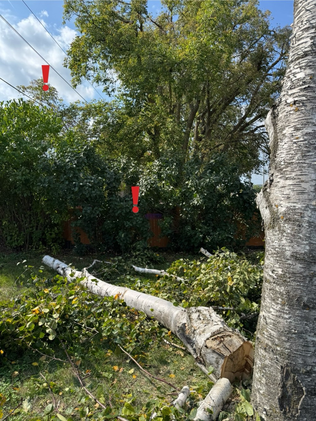 ⚡ Dropped safely between live wires and property&nbsp;lines