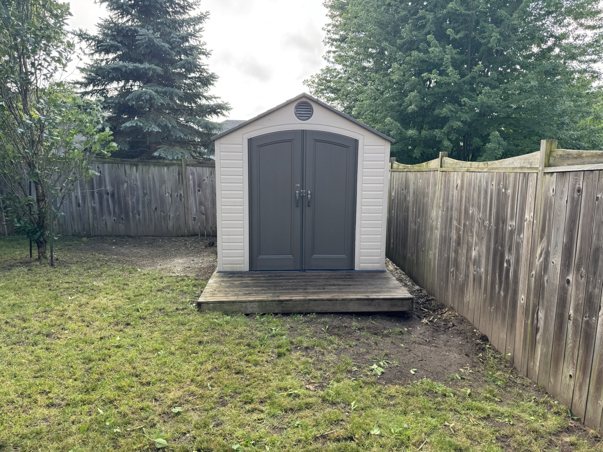 Clearing Overgrown Manitoba Maples Around the House