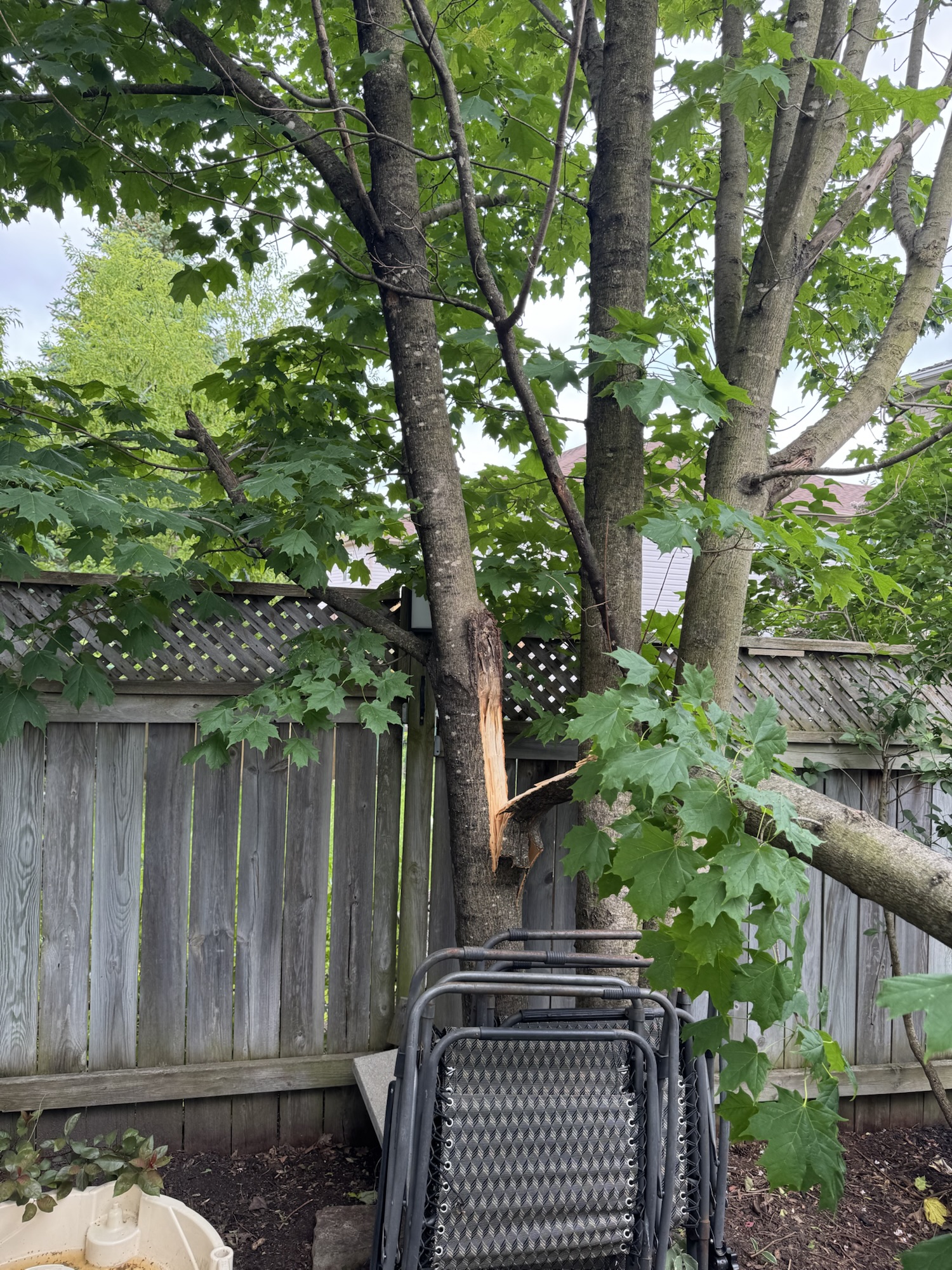 🌧️ Backyard Checklist for a Rainy Day